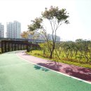 천안축구센터 이미지