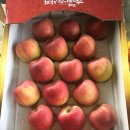 거창-고제-2 이미지