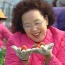 와드커피 세종시청점