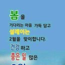 행복한밤 이미지