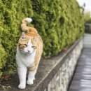 케이지메디칼 이미지