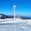 골든목장 이미지