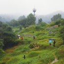 [발견이의 숲길걷기 여행] 중량 캠핑숲과 망우산 산책로 이미지