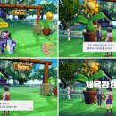 챔피온체육관 이미지