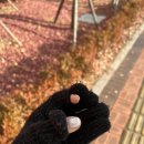 손톱하는뇨자 이미지