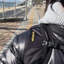 산책 그리고 또 산책
