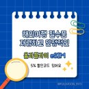 라이PC | 해외여행 필수 준비물 이심 eSIM 추천 올라플라이(Holafly)