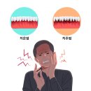 오도독 이미지