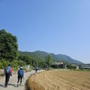 소군산&문바위봉♥︎소나무 이미지