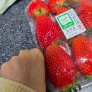 감천할아버지 | 2026년 03월, 일상 정리 - 1