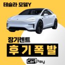 유독 | 테슬라 모델y, 카페이 후기가 유독 많은 이유