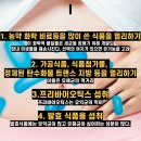 에스비 피트니스 이미지