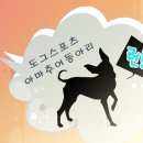 펫다이어리 네이버블로그