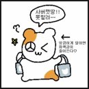 팜밀리1987 클렌즈주스 ABCD주스 내돈내산 구매후기 / 간략한 삭센다 후기