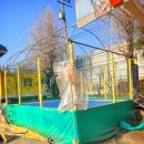 웅담초등학교 이미지