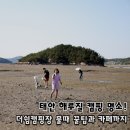 쉼 | 태안 더쉼오토캠핑장 후기, 해루질 명당 사이트와 물때 꿀팁