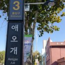 바이엘미용실 이미지