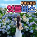 카카듀 | ​[제주시 도민맛집 탐방기 이도동] 제주 카카듀 말차빙수 솔직후기, 쌉싸름한 녹차빙수 러버들의 성지 🌿