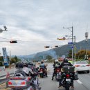 버섯마을 이미지