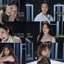 주식회사 감각컴퍼니 스포츠경향