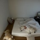 선흘정류장 이미지