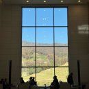 약산길 | 포웰CC 안성 2부 라운딩 솔직후기｜대기 현실 + 매직아워 끝판왕