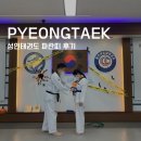 용인대 도담 태권도장 | 평택 성인 태권도장 추천 : 6개월 후기, 파란띠로 승급