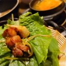 서해쭈꾸미 이미지