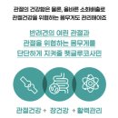 상아펫케어 이미지