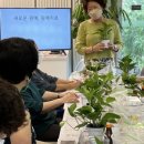 가호동2 이미지