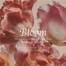 블룸(BLOOM)