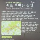 우면산6-11 이미지