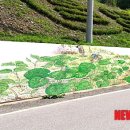 광동리마을회관 이미지