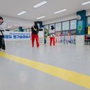 경신 태권도장 이미지
