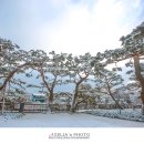 솔밭공원 티스토리