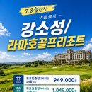 비고리조트 9 네이버블로그