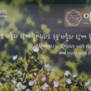 세종 금남 파리바게뜨 이미지