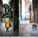 아웃포커스 이미지