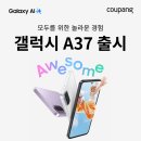 성지테라피
