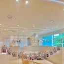 털로덮인친구들 용인죽전점 이미지