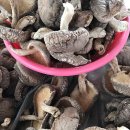 능금농장 이미지