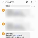 피자마루 메뉴추천 마루파이브 한판에 다섯 가지 맛!