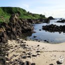 제주본토박이 이미지