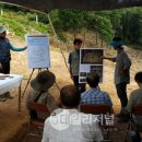 완도 법화사지 이미지