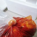 썰은김치 포그니김치 1kg 체험 후기