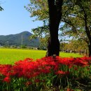 사화로-2 이미지