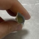 청주약품 | 일양약품 프리미엄 비타C - 레몬맛 선물 받은 후기 <대전에버홈케어 / 대전, 세종, 청주, 천안 전 지역>