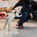 멍바라기 이미지