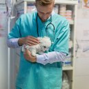 헤이든동물병원 이미지