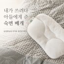 깊은 못 | 이유 깊은잠 베개 후기 일자목 주부가 수험생 아들에게 보낸 숙면 베개